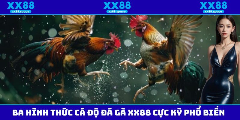 Ba hình thức cá độ đá gà XX88 cực kỳ phổ biến trong đấu trường